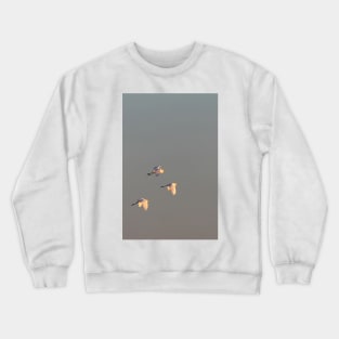 Egret Sunrise Crewneck Sweatshirt